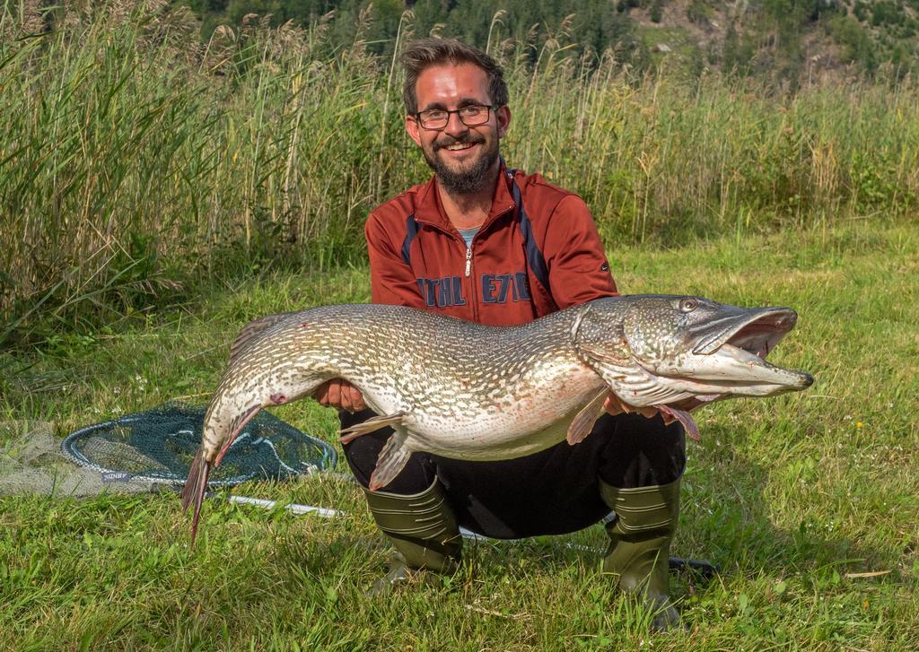 Ferienhof Neusacher Moser Weissensee Zewnętrze zdjęcie